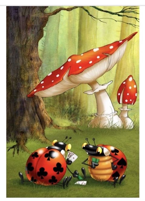 Fx Schmid Ruby Crowns Puzzle 600 Pieces 90316 17 3 4 ...