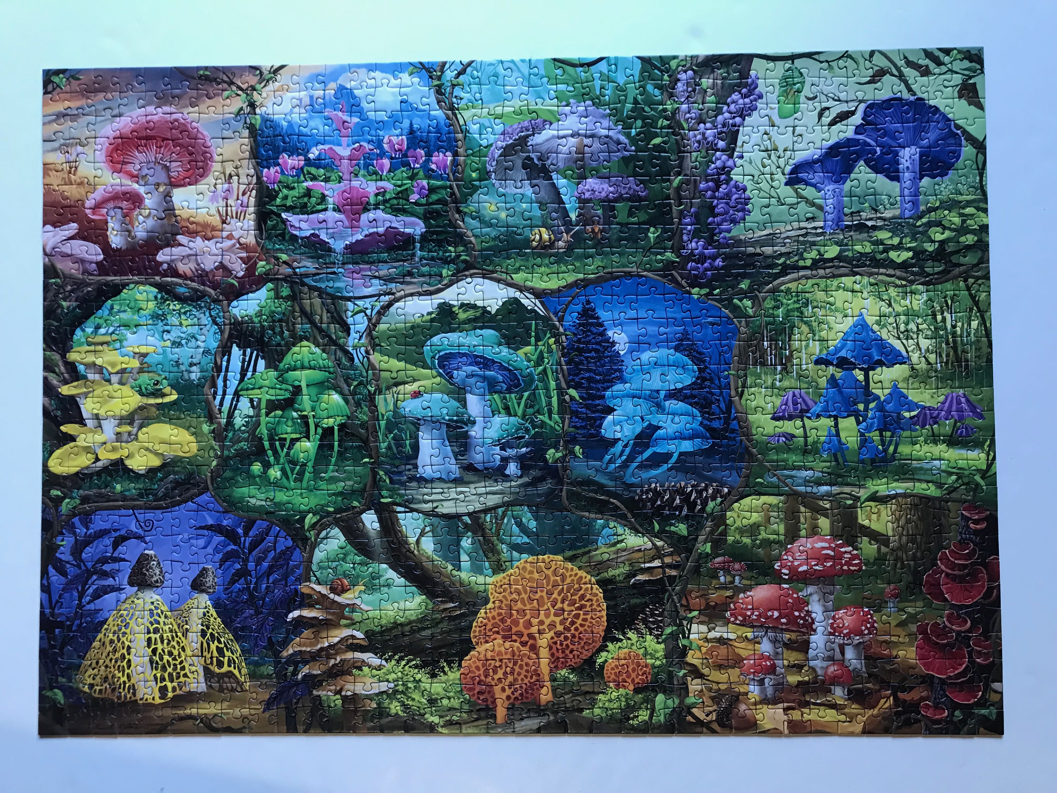 *Beautiful Mushrooms 😁 COMPLETED 08/02/2024 - Ravensburger puzzle collectible - Main Image 2