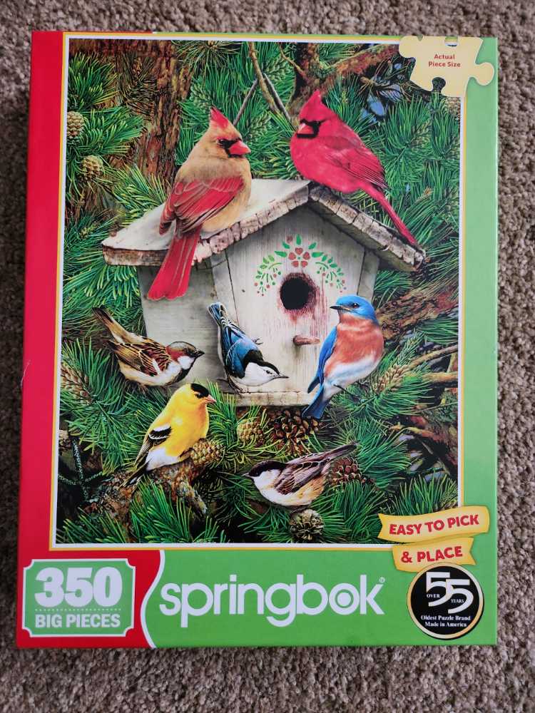 Picking The Perfect Pumpkin