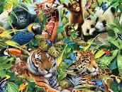 The Penguin In The Room