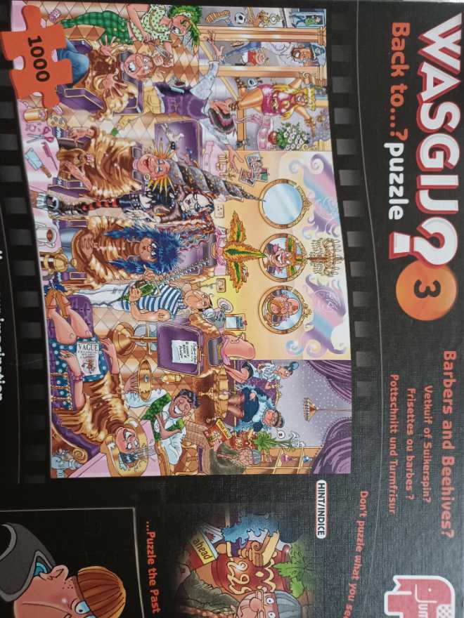 Metamorphosis Butterfly