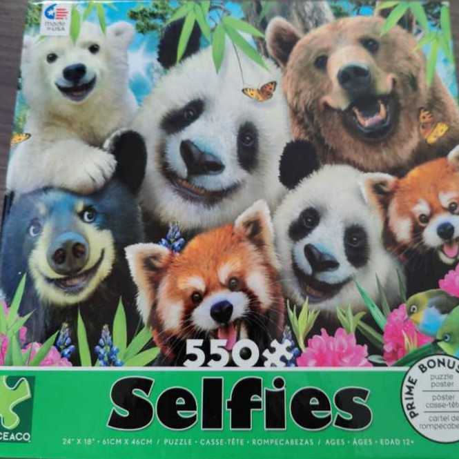 Edge- Hornellsville Erie Railway