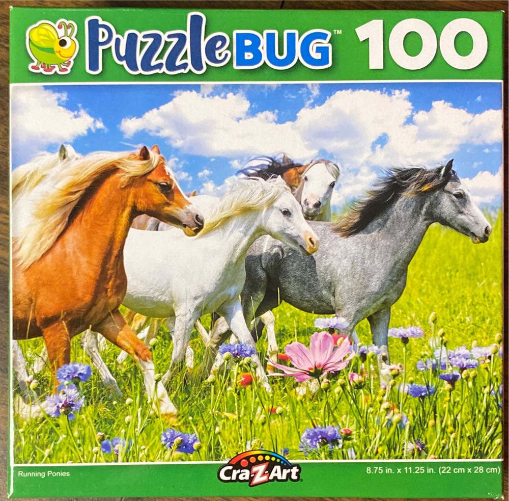 Grand Teton National Park 🆕