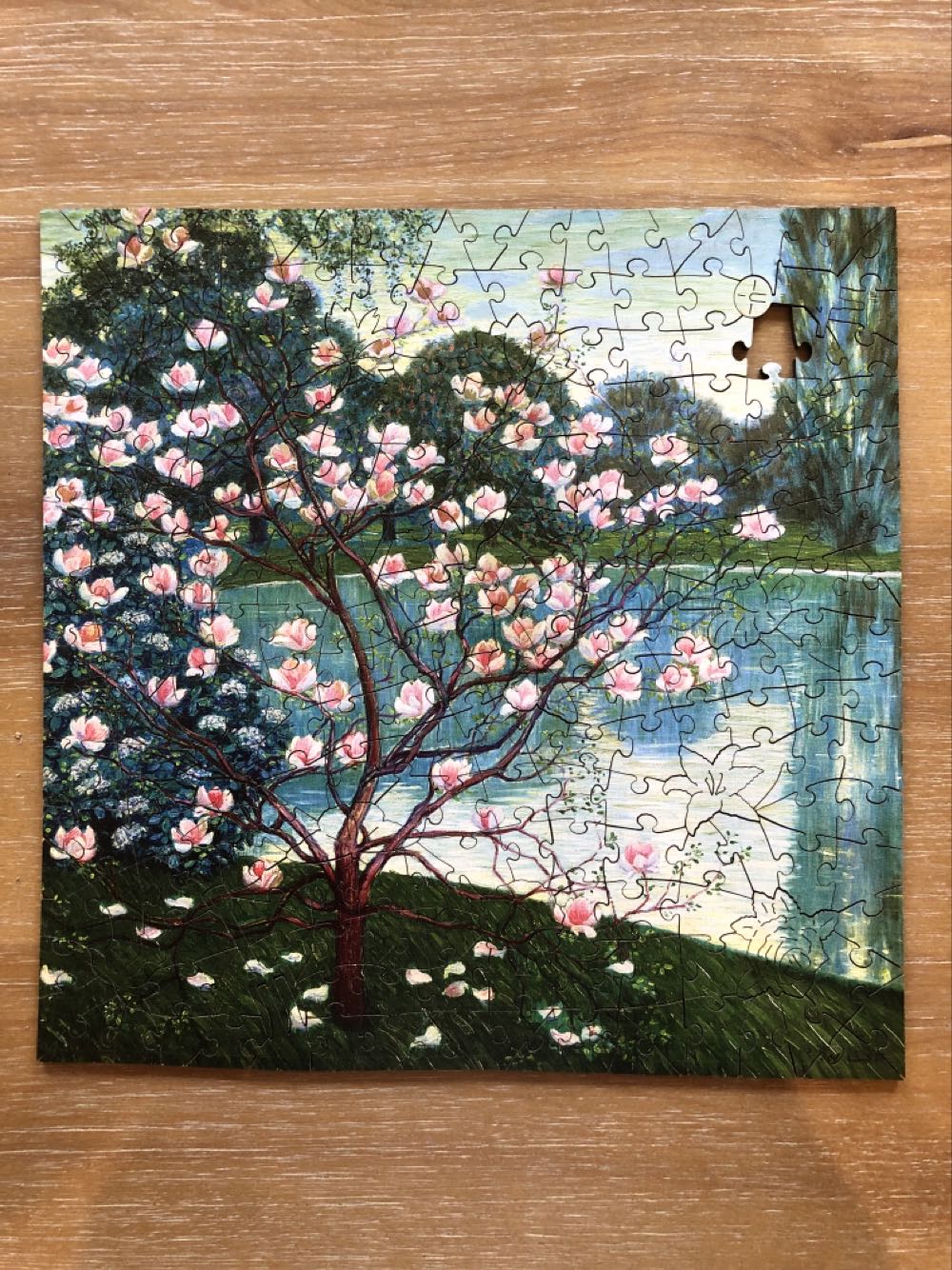 Magnolia (C,D) - Wentworth Wooden Puzzles puzzle collectible [Barcode 6050265368920] - Main Image 2