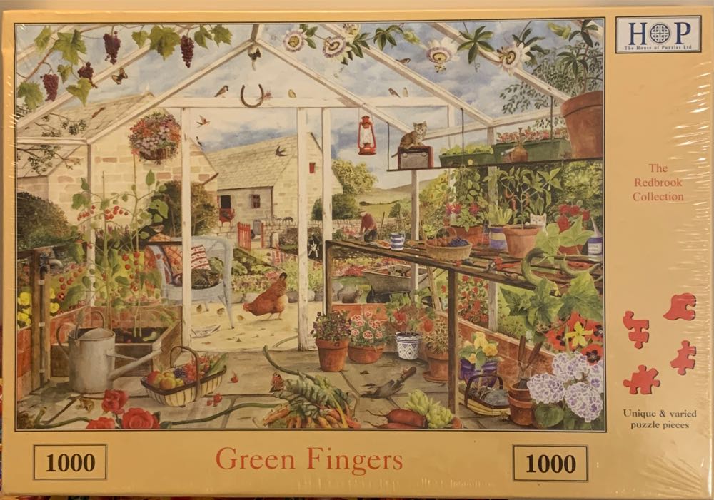 Hummingbirds And Hosta