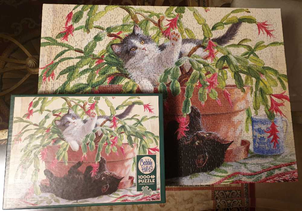 Cactus Kitties - Cobble Hill puzzle collectible [Barcode 625012800310] - Main Image 2