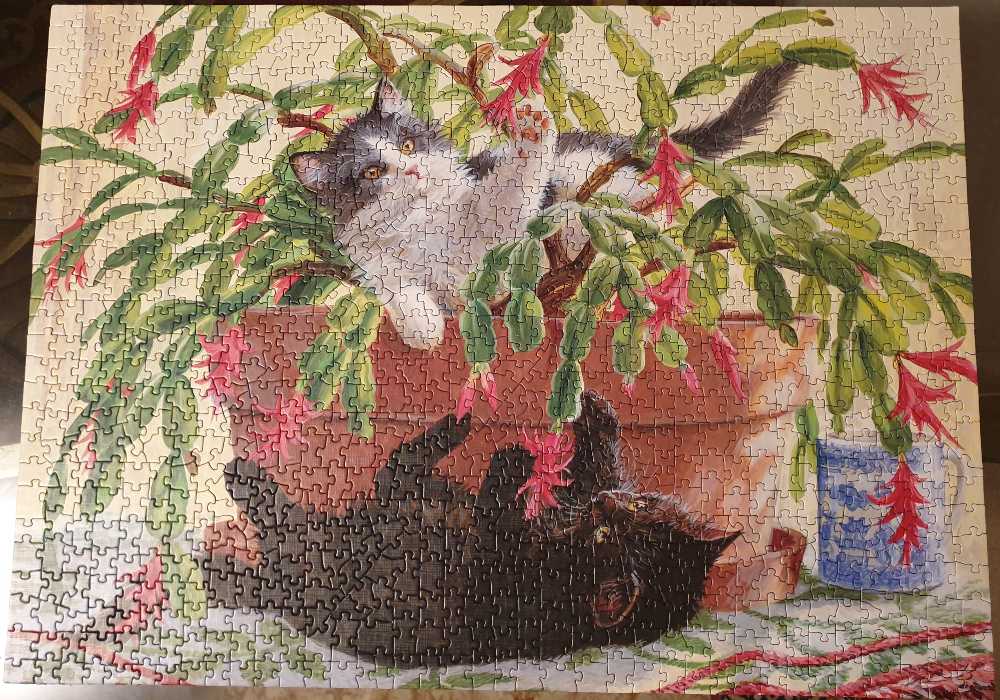 Cactus Kitties - Cobble Hill puzzle collectible [Barcode 625012800310] - Main Image 3