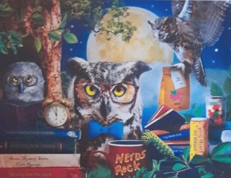 Night Owls Study Group, Wild & Whimsical - MasterPieces puzzle collectible [Barcode 705988321511] - Main Image 3