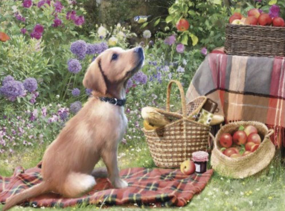 Florida Puzzle Piece