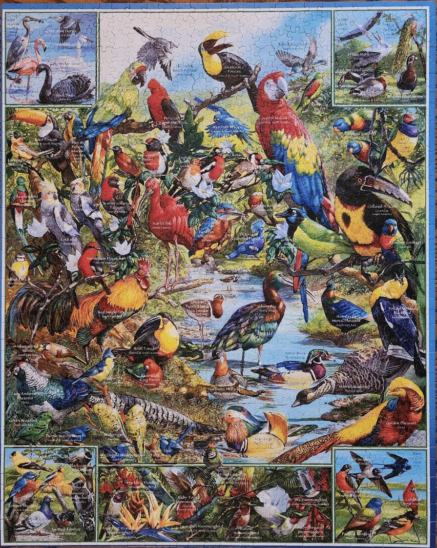 Most Beautiful SENT-Birds Of The World*- 618,traveler - White Mountain puzzle collectible [Barcode 724819253494] - Main Image 2