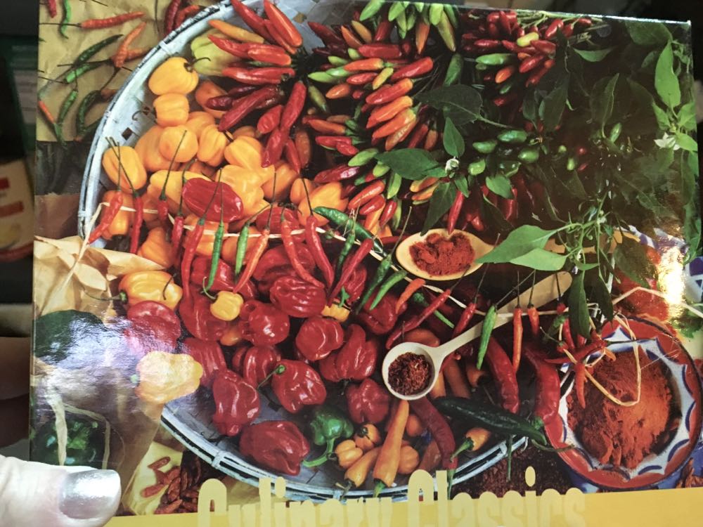 Discover the States : American States