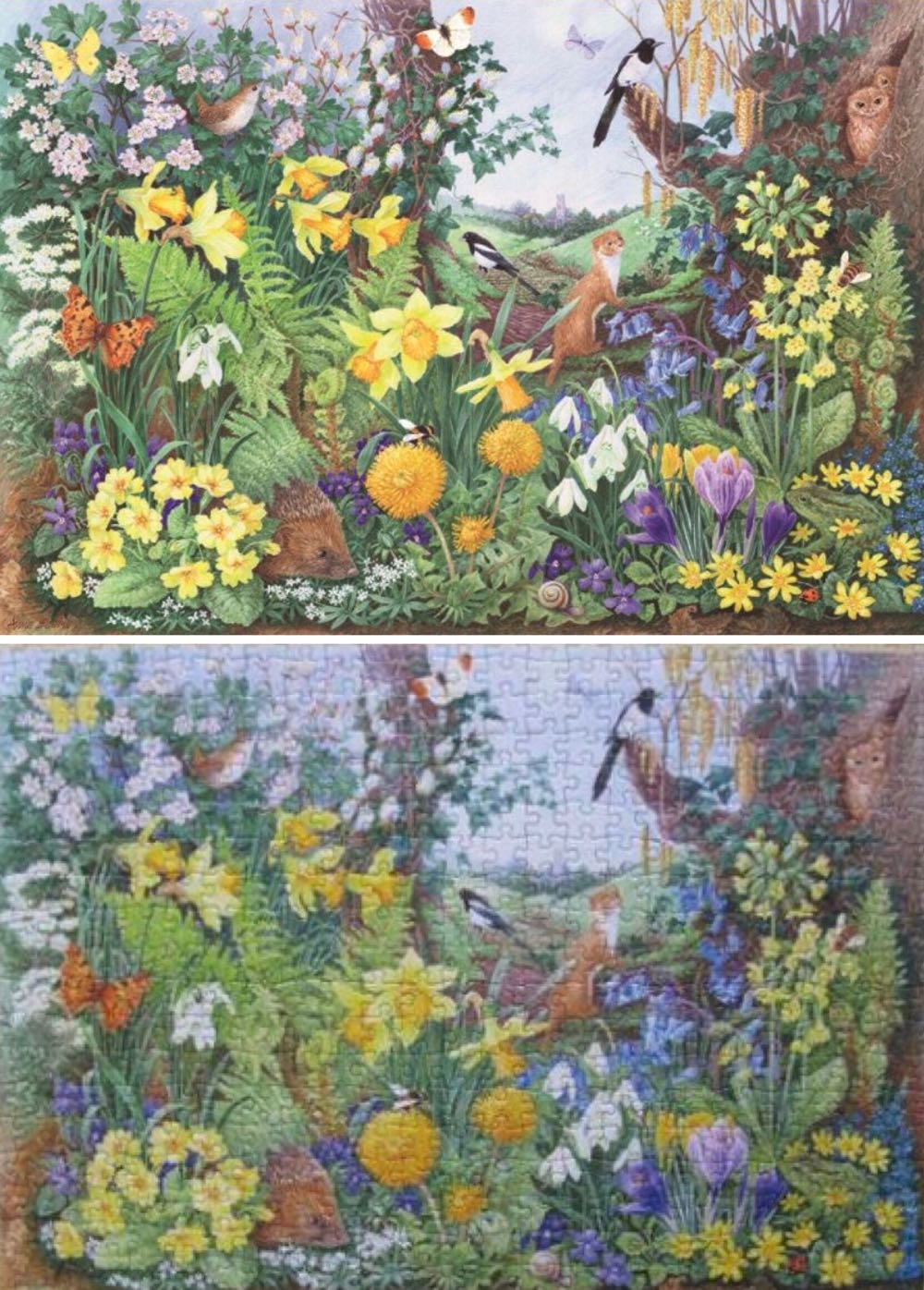 Spring  And Summer Hedgerow 🐦 - Falcon de luxe puzzle collectible [Barcode 8710126111048] - Main Image 3