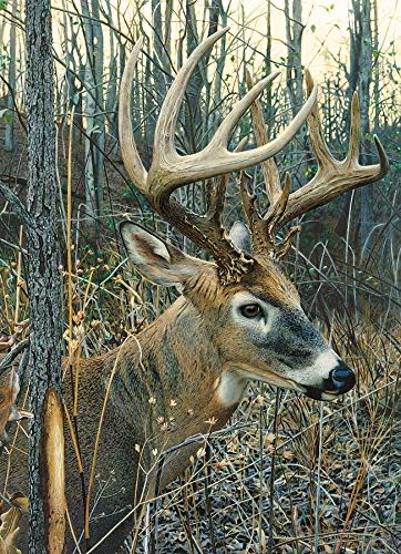 Cobble Hill Piece Puzzle White-tailed Deer Sample Poster Included  puzzle collectible [Barcode 625012801348] - Main Image 1