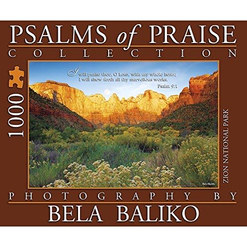 Curious Cub 500 Pc Jigsaw Puzzle