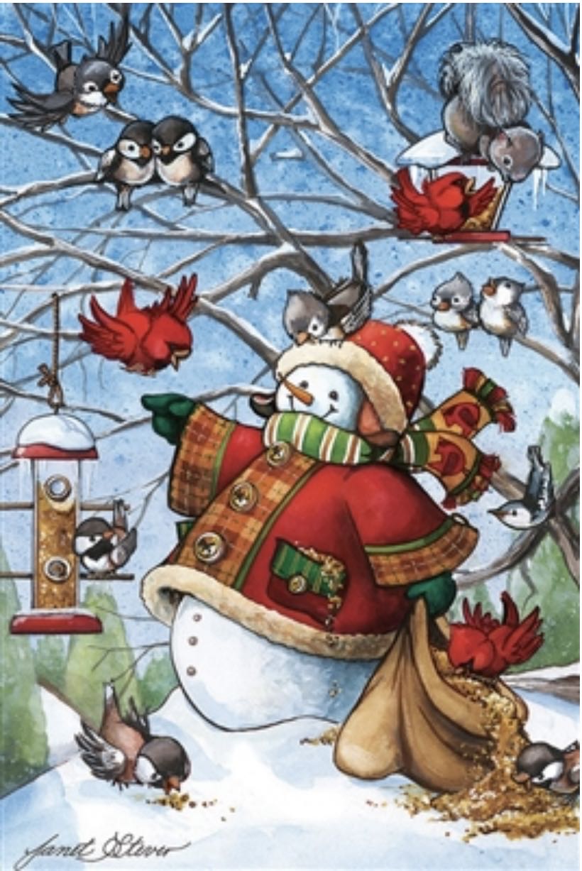 Metamorphosis Butterfly