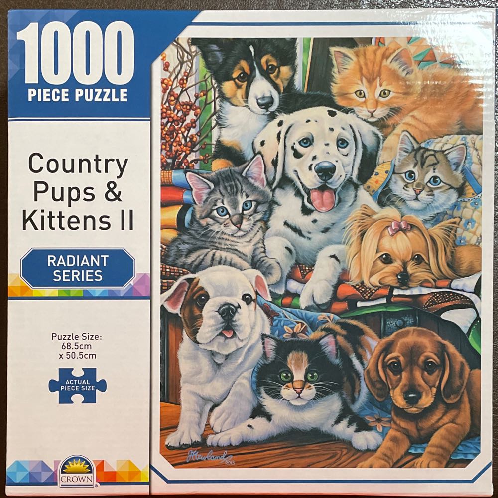 Kaffe Fassett Fabulous Florals Quilt Jigsaw