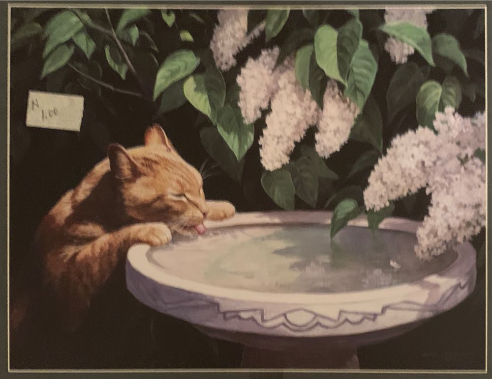 ZZ - Key West The Island City (TRADED)