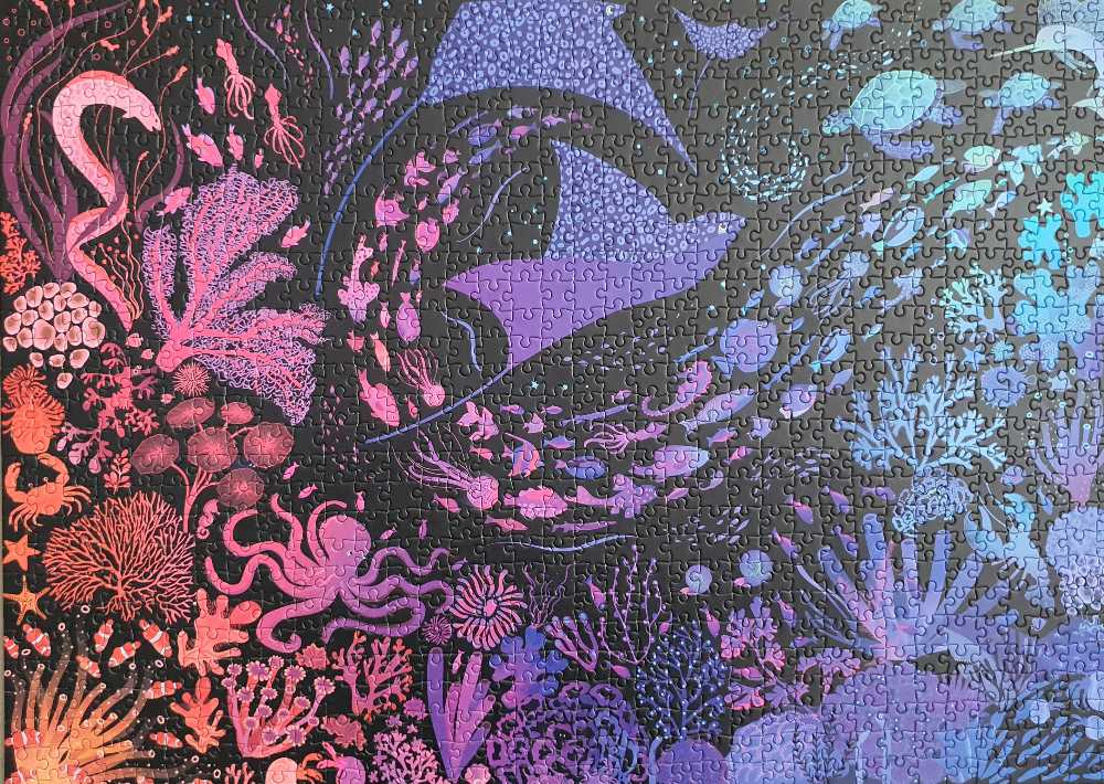 Night Reef - Elena Essex puzzle collectible - Main Image 2
