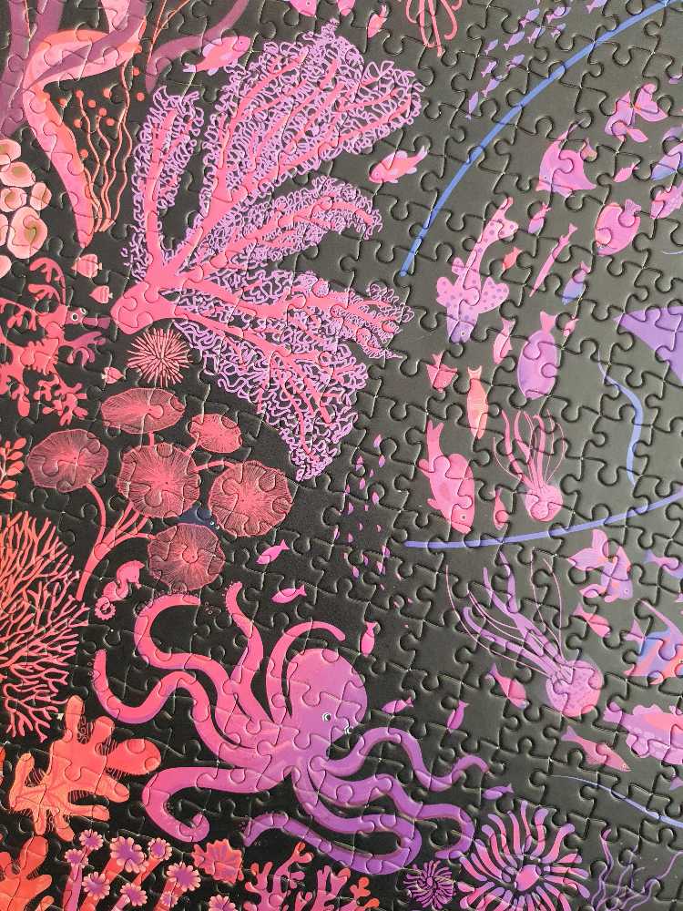 Night Reef - Elena Essex puzzle collectible - Main Image 3