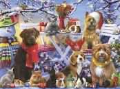 Banff National Park, Alberta