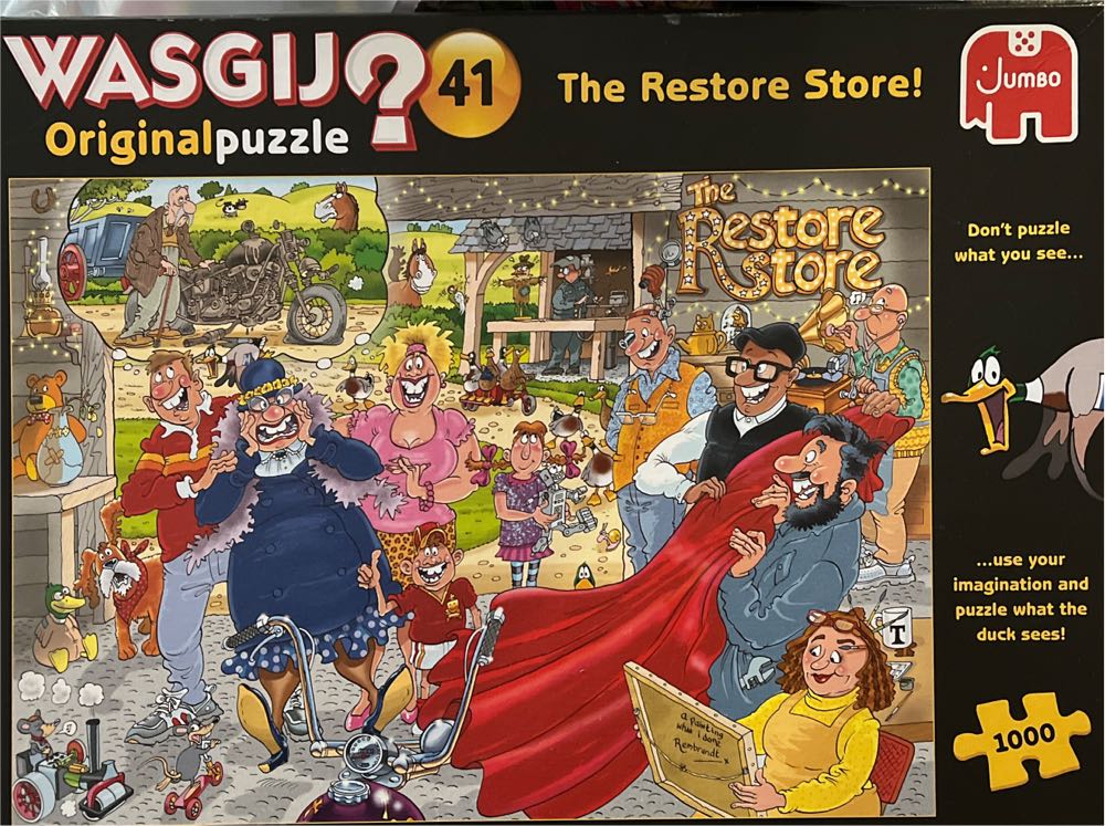 Succulents Cactus Pots