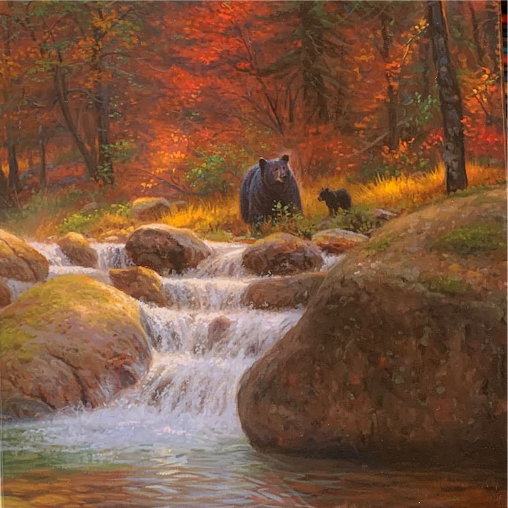 Cardinals Meet The Bluebirds