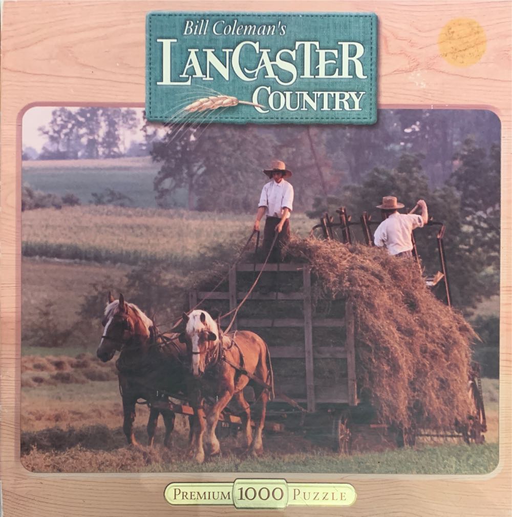 Rainbow Glitter Gradient