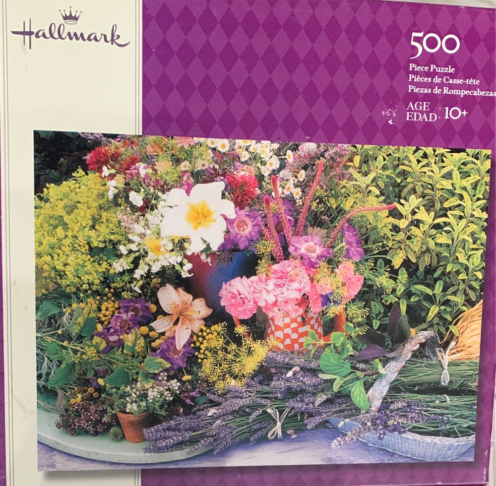 Big Cats Of The Plains