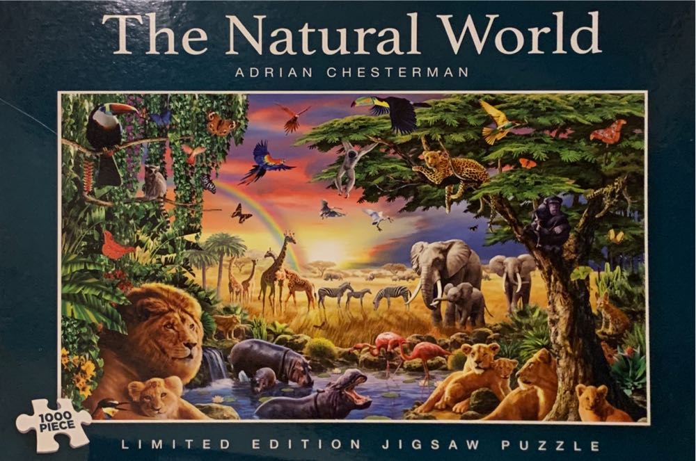 Rock Around The Clock