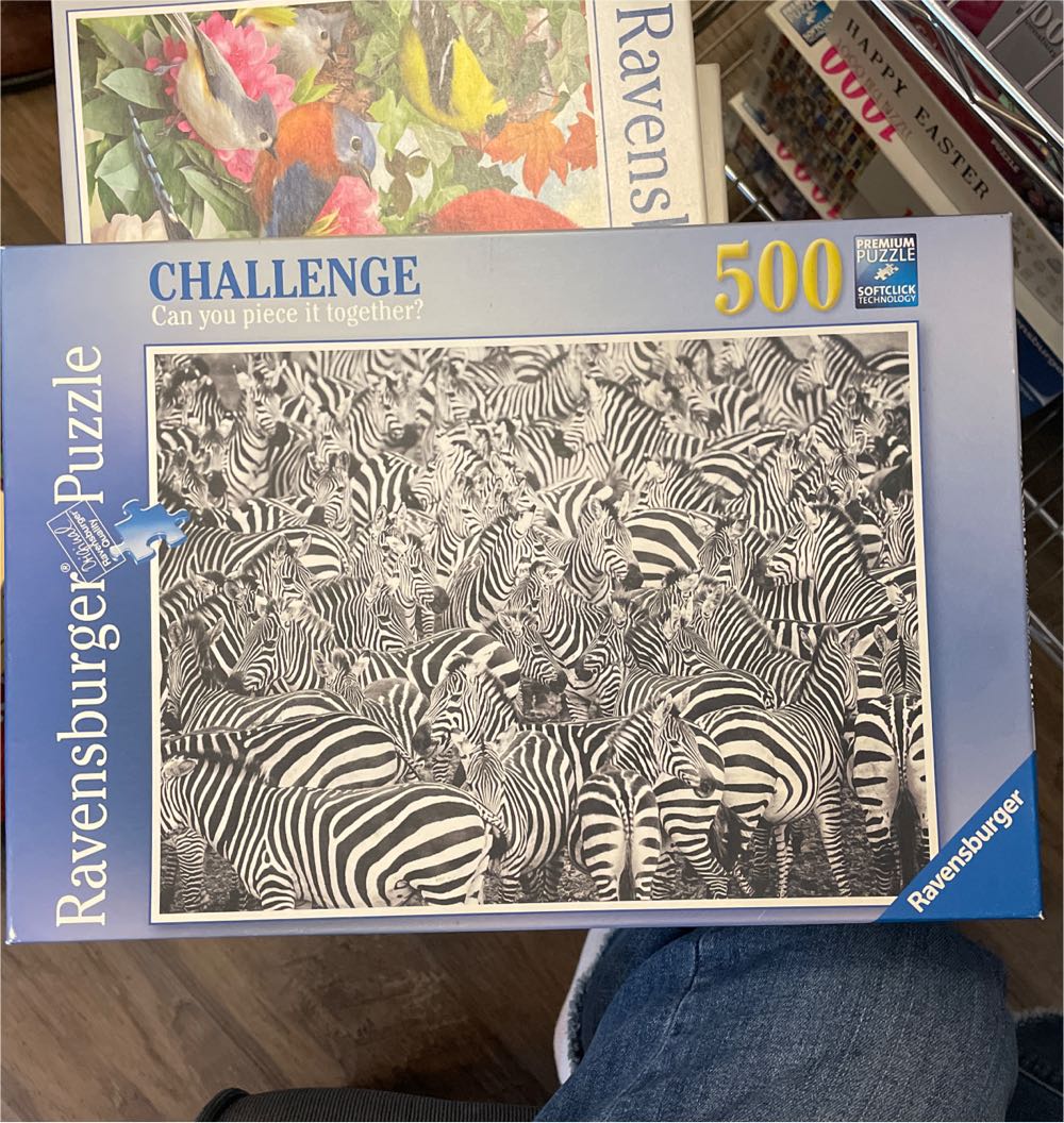 black Labs In Pink Box