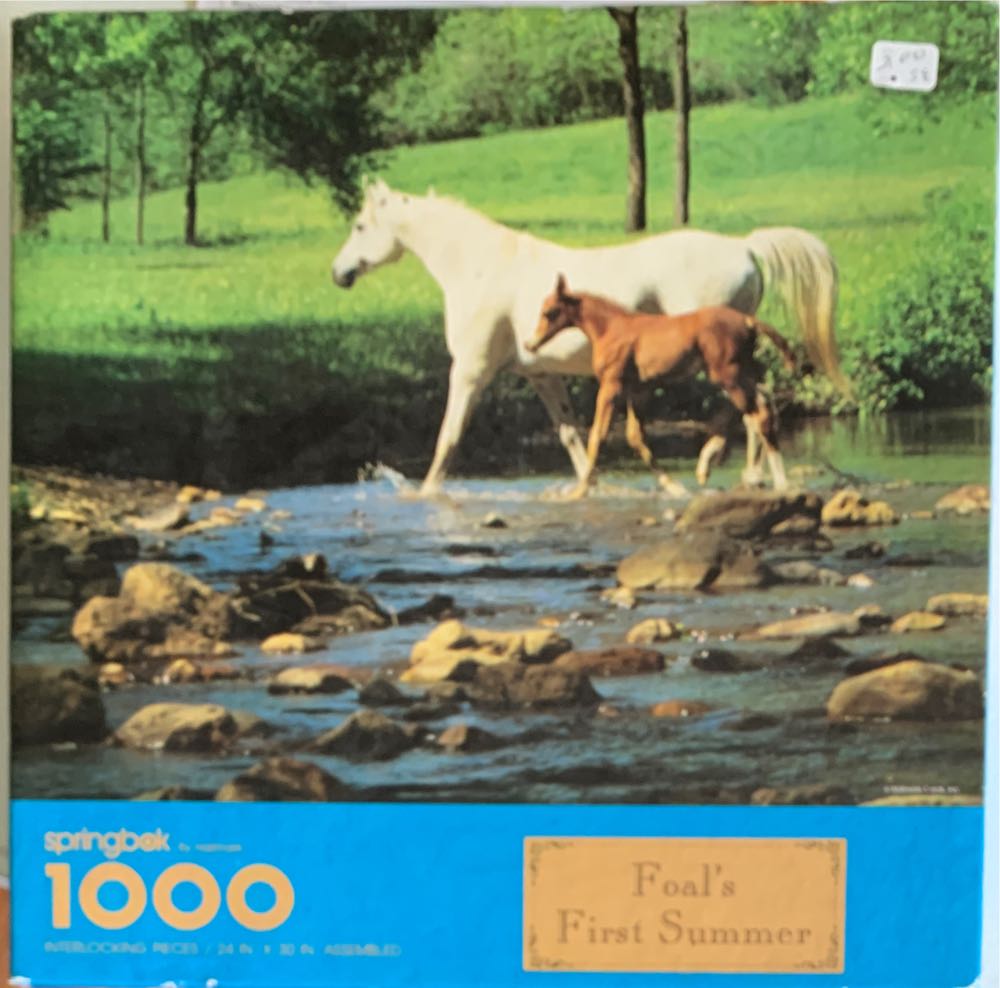 Kodak Premium Puzzle: Fireworks Display Dubai 550 Piece Jigsaw Puzzle