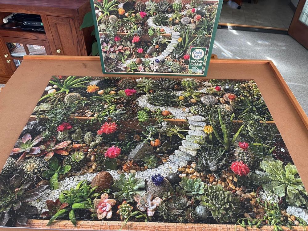 Succulent Garden - Havanna Nights puzzle collectible [Barcode 191205439624] - Main Image 3