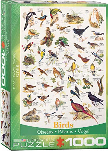 Hummingbirds And Hosta