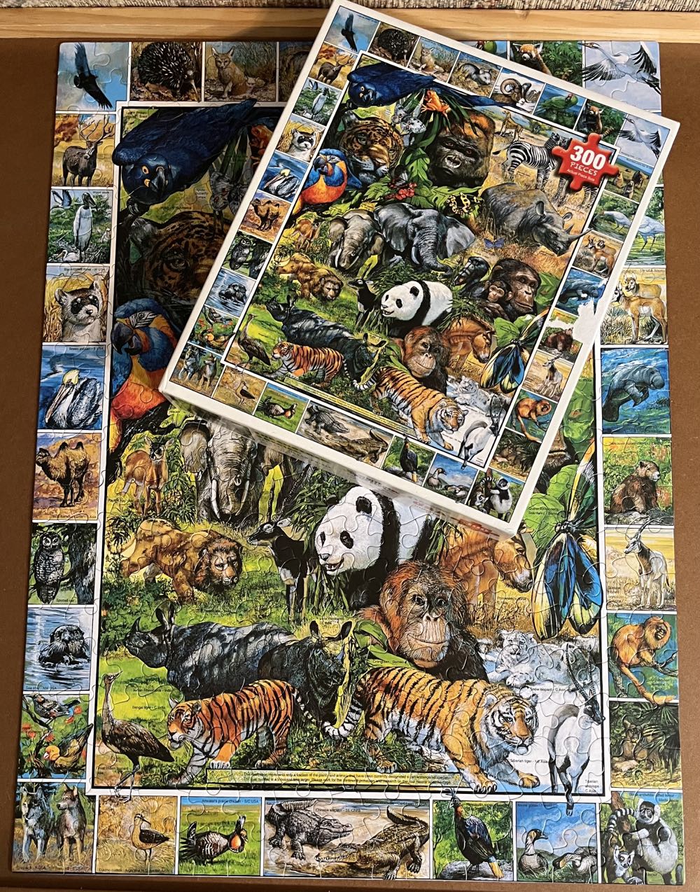 Endangered Species - 726, 11/15/24-SOLD - White Mountain Puzzles puzzle collectible [Barcode 724819256198] - Main Image 3