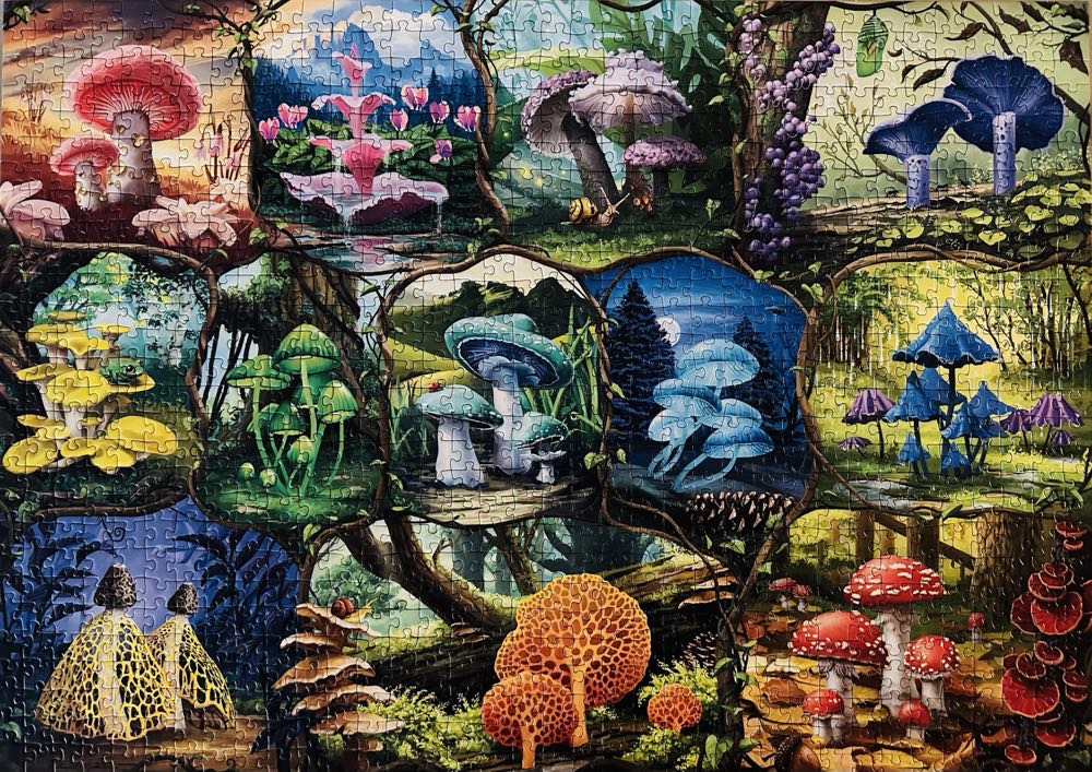 Sold - Beautiful Mushrooms - Ravensburger puzzle collectible - Main Image 2