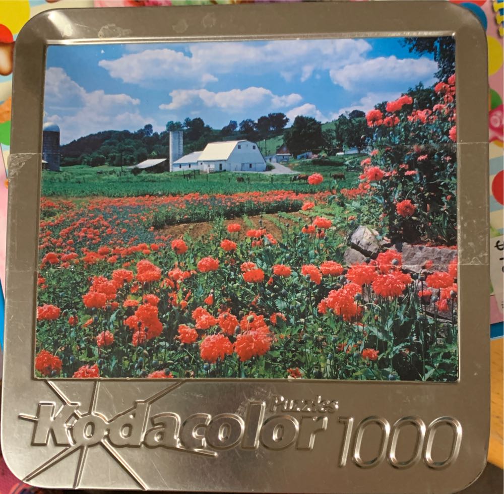 The Black Hills (NIB) NFT 🦬