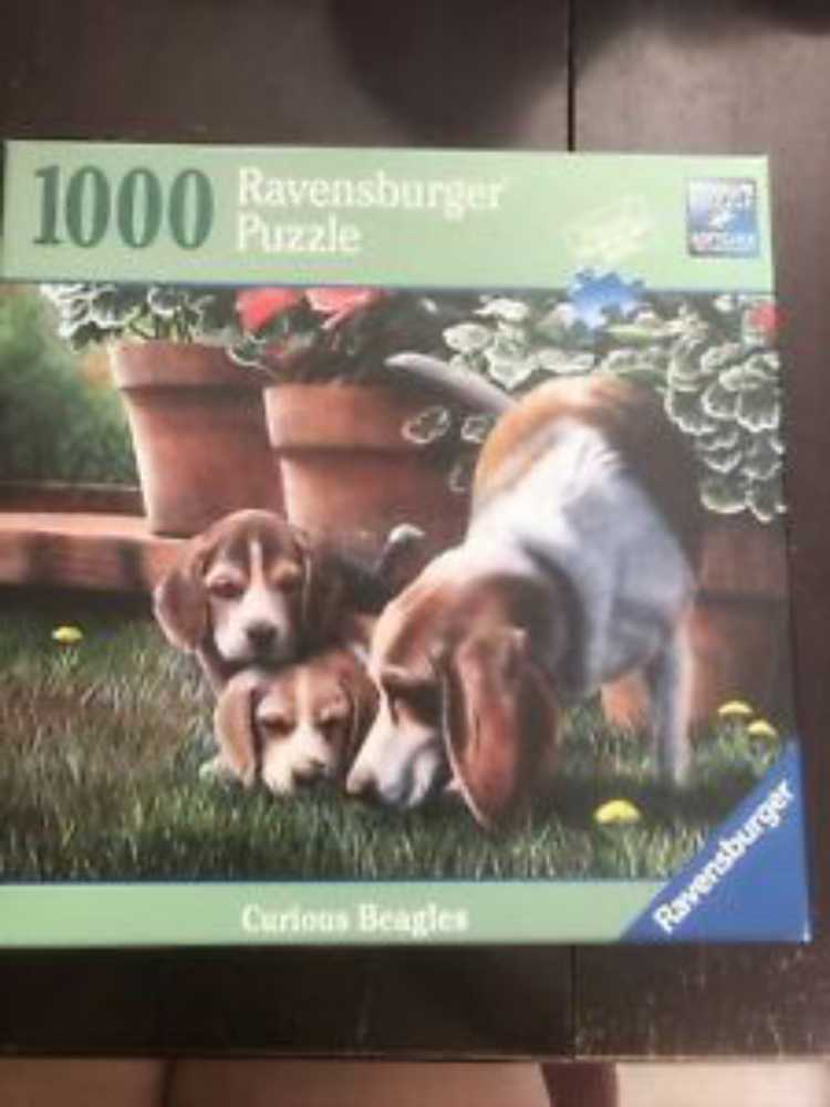 Le Cinque Terre- GONE