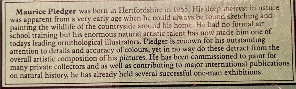 House and Tree Sparrows - Rhapsody - Arrow puzzle collectible - Main Image 2