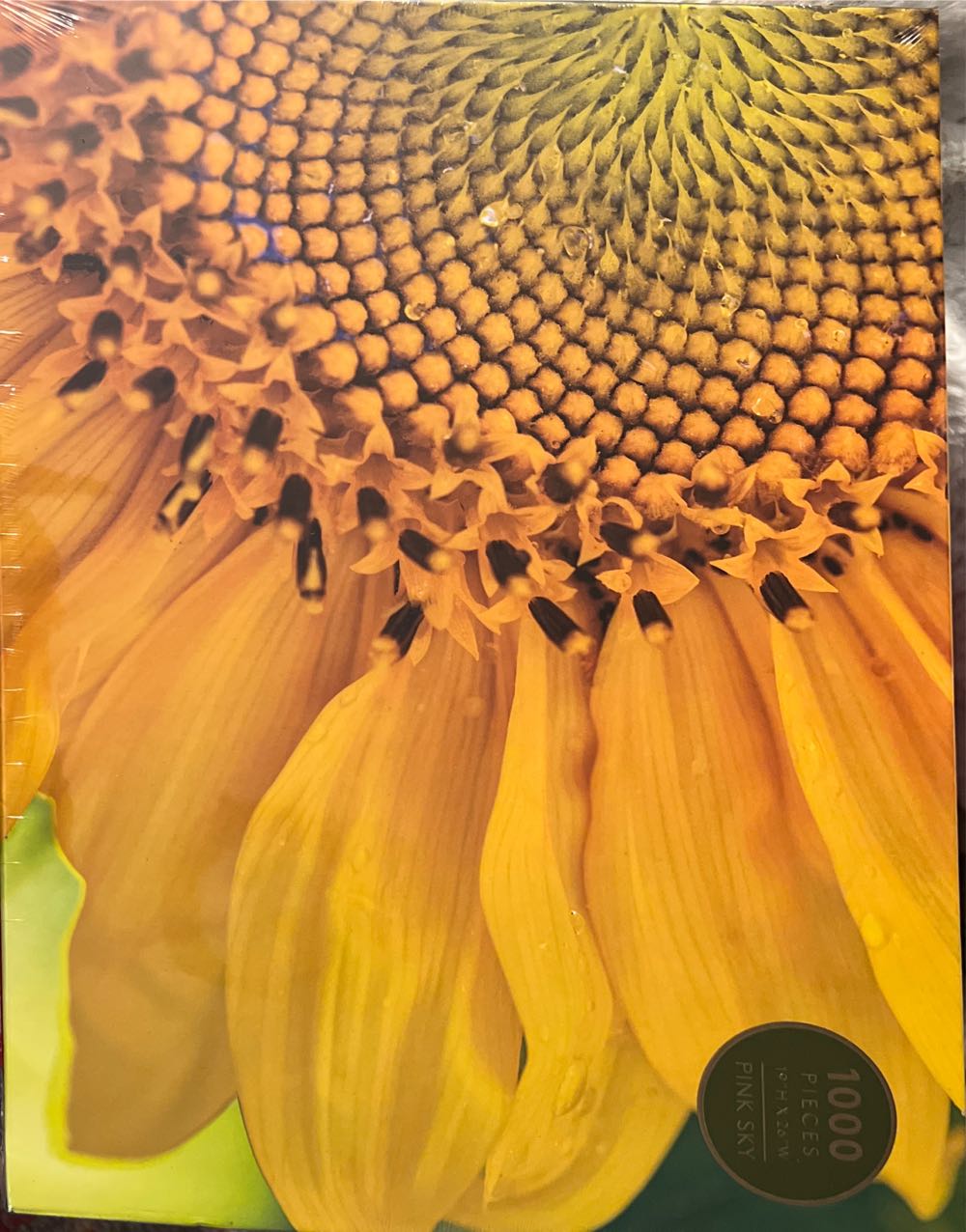 Know The Plans Declares The Lord Piece