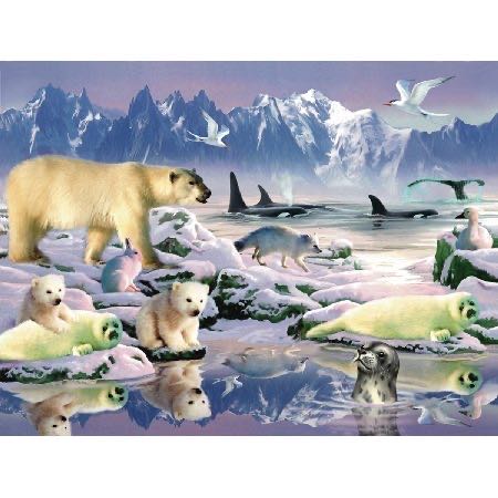 Image 62717