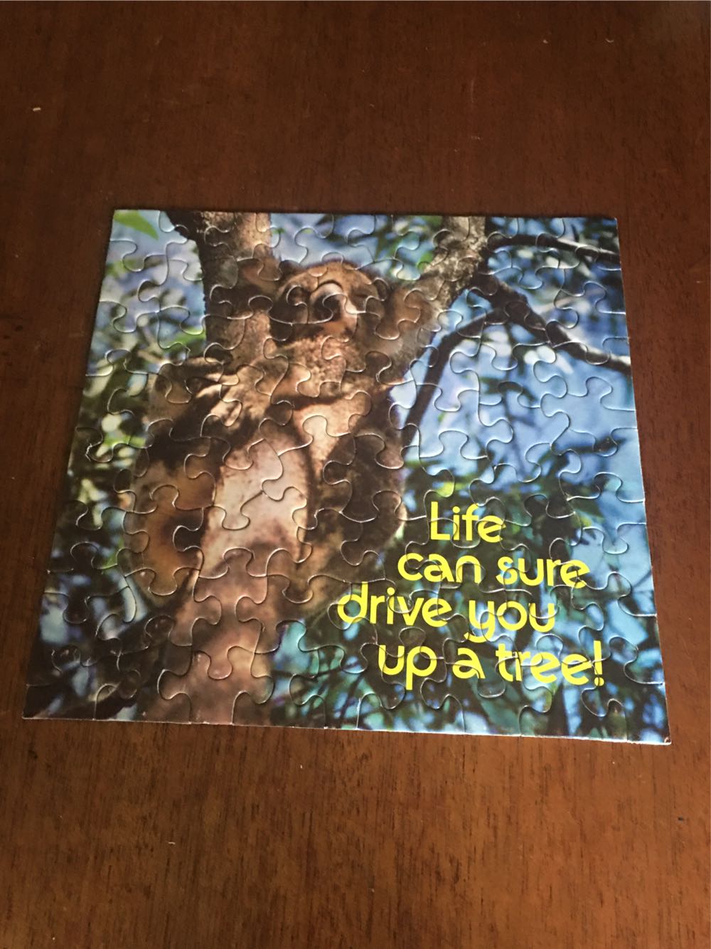 Koala - Mini - Springbok puzzle collectible - Main Image 2