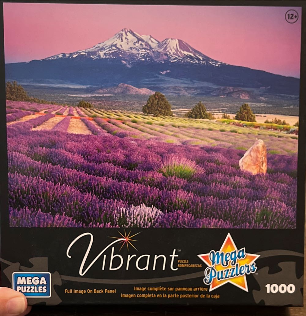 Rialto Bridge In Venice