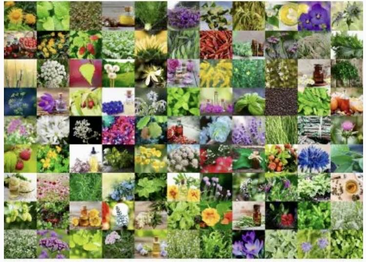 99 Herbs & Spices 🔴 - Ravensburger puzzle collectible [Barcode 4005556824861] - Main Image 2