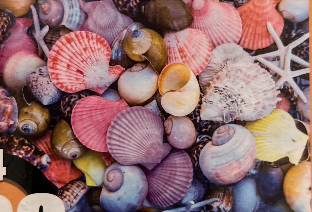 Discover the States : American States