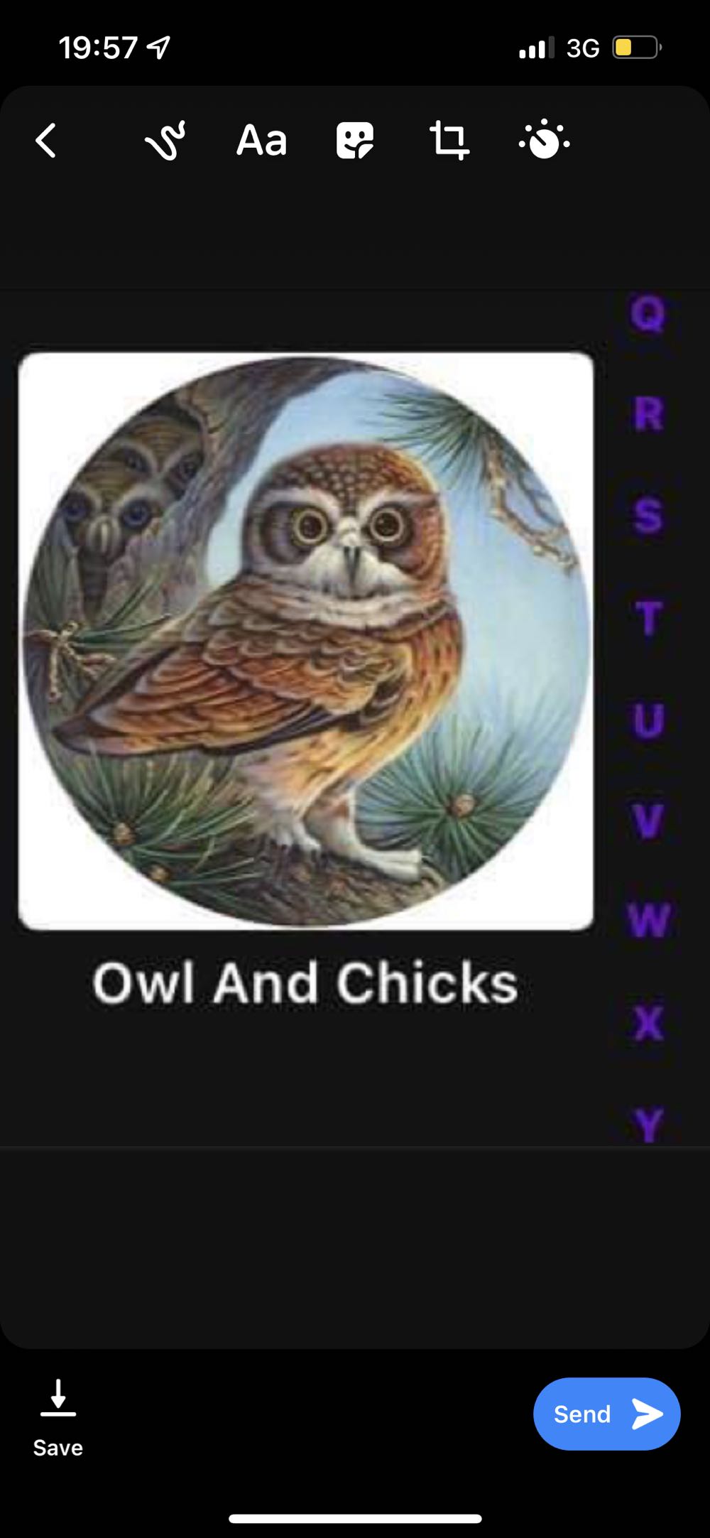 Panoramic Hot Air Balloon Festival