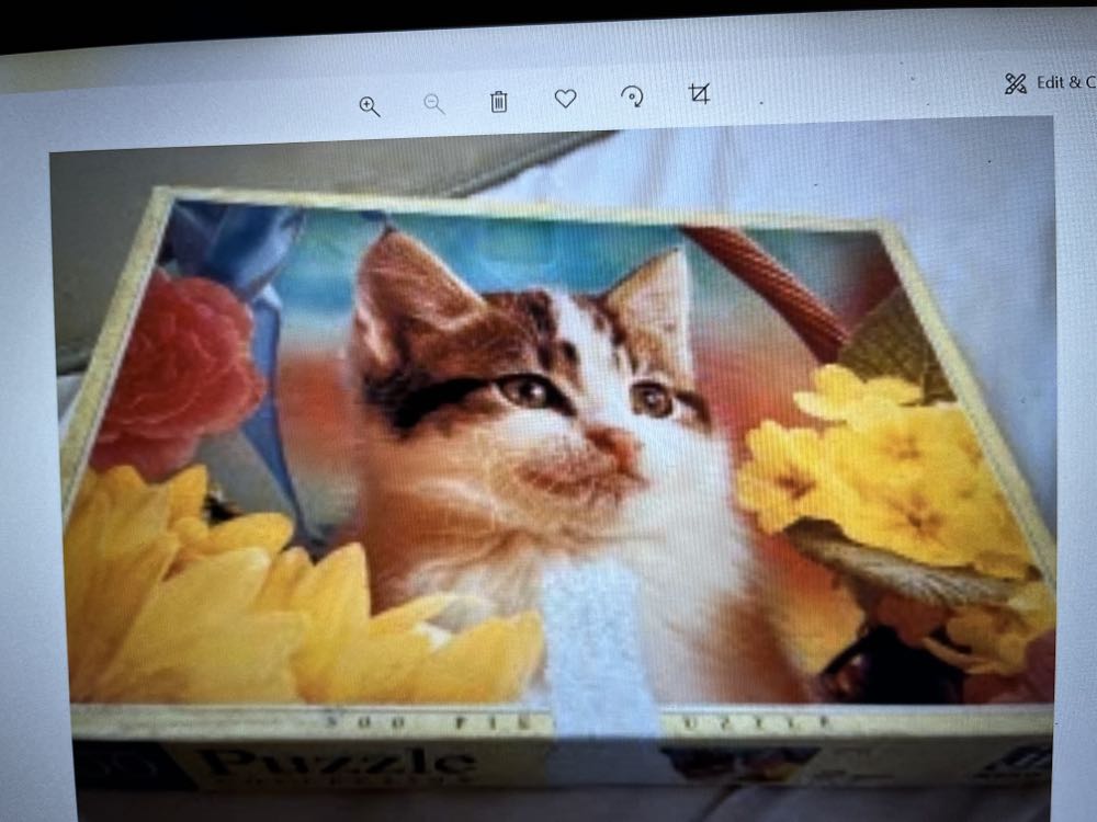 Jack Skellington And Zero Tim The Nightmare Before Christmas 25 Years