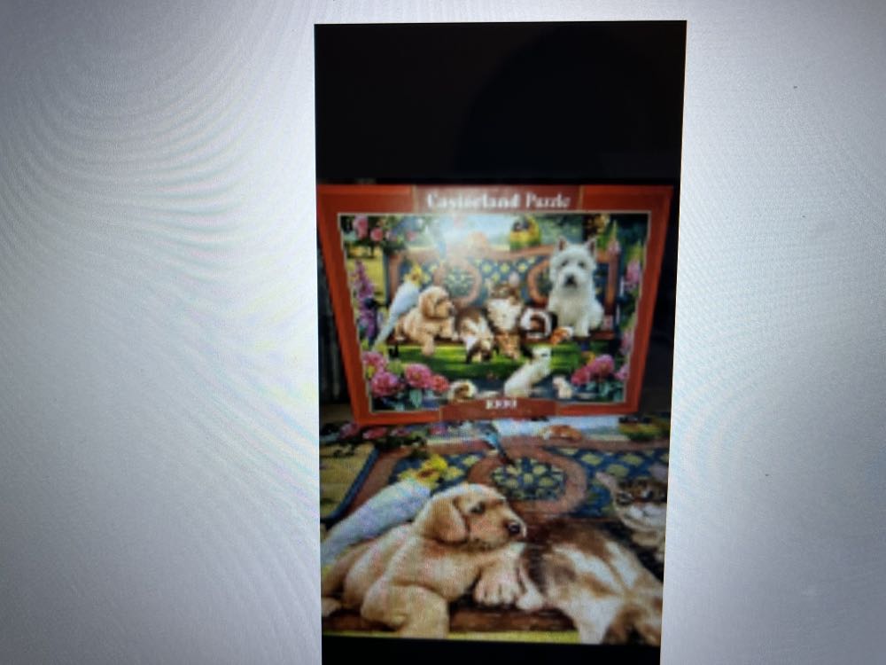 Disney Villainous - Lady Tremaine