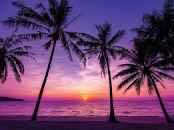 A CHRISTMAS MARKET TOWN