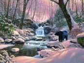 Zoekboek Rembrandts Atelier