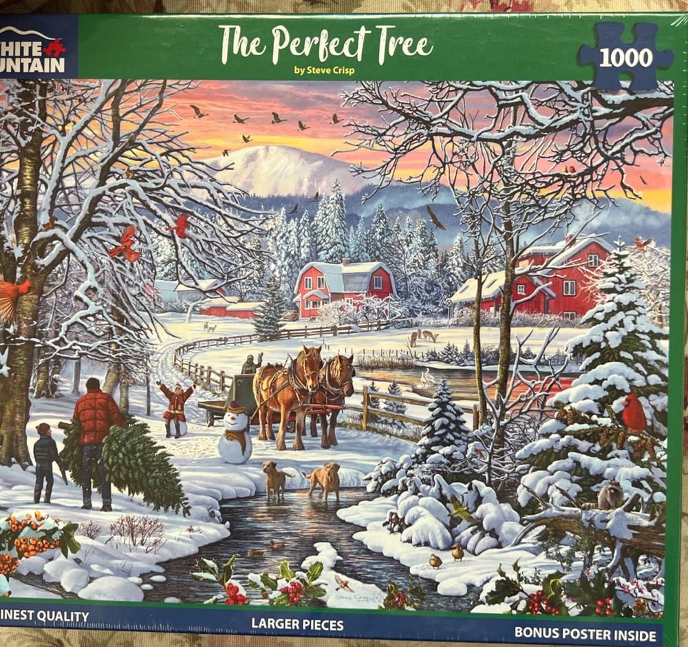 The Wizard’s Library